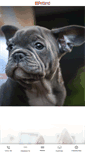 Mobile Screenshot of petlandlargo.com